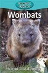 Victoria Blakemore - Wombats