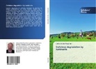 Carlos André Prauchner - Cellulose degradation by ruminants