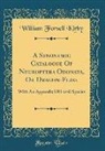 William Forsell Kirby - A Synonymic Catalogue of Neuroptera Odonata, or Dragon-Flies: With an Appendix of Fossil Species (Classic Reprint)