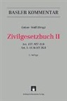 Christoph Bauer, Thomas Bauer, Phili Bornhauser, Prof. Dr. iur. Stephan Wolf, Prof. Dr. iur. Thomas Geiser - Basler Kommentar: Zivilgesetzbuch II