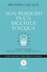 Richard Carlson - Non perderti in un bicchier d'acqua. Cento regole per imparare a vivere meglio