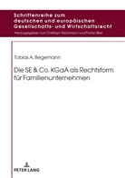 Tobias Begemann, Teichmann - Die SE & Co. KGaA als Rechtsform für Familienunternehmen