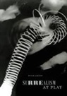 Susan Laxton - Surrealism At Play