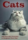 Michelle Perkins - Cats