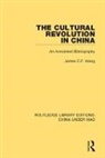 James C.f. Wang - Cultural Revolution in China