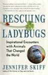 Jennifer Skiff - Rescuing Ladybugs