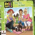 Ann-Katrin Heger - Die drei !!! - Gorilla in Not, 1 Audio-CD (Hörbuch)