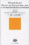 Edmund Husserl, V. Costa - Idee per una fenomenologia pura e per una filosofia fenomenologica