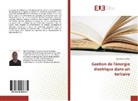 No¿Rivarol Meli, Noël Rivarol Meli - Gestion de l'énergie électrique dans un tertiaire