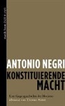 Antonio Negri - Konstituierende Macht