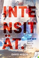 David Misch - Intensität