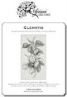 Valentina Sardu - Clematis. Blackwork design