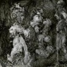 Duke Garwood, Mar Lanegan - With Animals (Audio book)