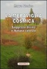 Mauro Stenico - La meraviglia cosmica. Saggezza divina e natura celeste