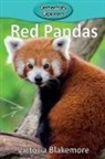 Victoria Blakemore - Red Pandas