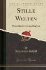 Johannes Schlaf - Stille Welten: Neue Stimmungen Aus Dingsda (Classic Reprint)