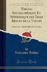 Unknown Author - Tableau Encyclopédique Et Méthodique Des Trois Règnes de la Nature, Vol. 24: Crustacés, Arachnides Et Insectes (Classic Reprint)