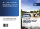 Kassa T Mengistu, Abebe Guadi Shumet, Abebe Guadie Shumet - Impact of Existing and Future Water Demand on Economic and Environmnet
