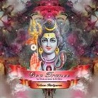 Various - Goa Trance. Vol.37, 2 Audio-CDs (Hörbuch)