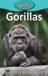 Victoria Blakemore - Gorillas