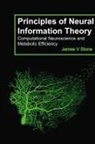James V Stone, James V. Stone - Principles of Neural Information Theory