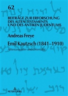 Andreas Freye, Hermann Michael Niemann, Hermann Michael Niemann - Emil Kautzsch (1841-1910)