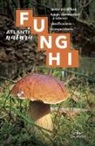 Luigi Fenaroli - Funghi