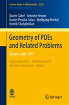 Xavie Cabré, Xavier Cabré, Antoin Henrot, Antoine Henrot, Danie Peralta-Salas, Daniel Peralta-Salas... - Geometry of PDEs and Related Problems