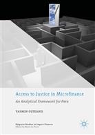 Yasmin Olteanu - Access to Justice in Microfinance