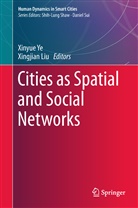 Liu, Liu, Xingjian Liu, Xinyu Ye, Xinyue Ye - Cities as Spatial and Social Networks