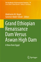 Abdel-Fattah, Abdel-Fattah, Sommer Abdel-Fattah, Abdelazi M Negm, Abdelazim M Negm, Abdelazim M Negm... - The Handbook of Environmental Chemistry - 79: Grand Ethiopian Renaissance Dam Versus Aswan High Dam