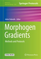 Julie Dubrulle, Julien Dubrulle - Morphogen Gradients