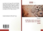 Ahmed Hamdi, Ri Laggoun, Rim Laggoun - Inhibition de la corrosion du cuivre dans un milieu acide