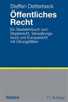 Steffen Detterbeck - Öffentliches Recht