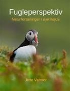 Jette Varmer - Fugleperspektiv