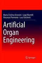 Maria Cristin Annesini, Maria Cristina Annesini, Luig Marrelli, Luigi Marrelli, Piemonte, Vincenzo Piemonte... - Artificial Organ Engineering
