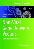 Gabriel Candiani, Gabriele Candiani - Non-Viral Gene Delivery Vectors