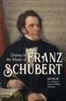 Joe Davies, James William Sobaskie, Joe Davies, Joe (Royalty Account) Davies, James William Sobaskie, James William (Person) Sobaskie - Drama in the Music of Franz Schubert