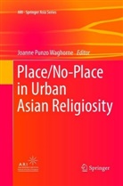 Joann Punzo Waghorne, Joanne Punzo Waghorne, Joanne Punzo Waghorne - Place/No-Place in Urban Asian Religiosity