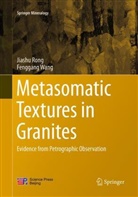 Jiash Rong, Jiashu Rong, Fenggang Wang - Metasomatic Textures in Granites