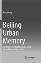 Fang Wang - Beijing Urban Memory