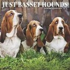 Willow Creek Press - Just Basset Hounds 2019 Wall Calendar (Dog Breed Calendar)
