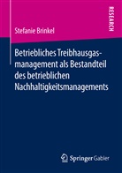 Stefanie Brinkel - Betriebliches Treibhausgasmanagement als Bestandteil des betrieblichen Nachhaltigkeitsmanagements