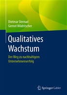 Gernot Mödritscher, Dietma Sternad, Dietmar Sternad - Qualitatives Wachstum
