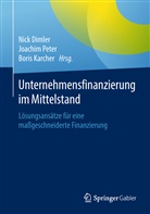 Nick Dimler, Boris Karcher, Joachi Peter, Joachim Peter - Unternehmensfinanzierung im Mittelstand