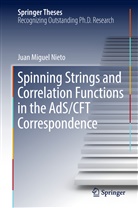 Juan Miguel Nieto - Spinning Strings and Correlation Functions in the AdS/CFT Correspondence