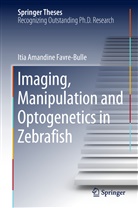 Itia Amandine FavreBulle, Itia Amandine Favre-Bulle, Itia Amandine Favre‐Bulle - Imaging, Manipulation and Optogenetics in Zebrafish
