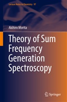 Akihiro Morita - Theory of Sum Frequency Generation Spectroscopy