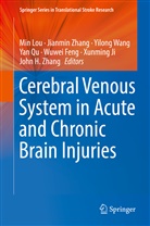 Wuwei Feng, Xunming Ji, Min Lou, Yan Qu, Yilong Wang, Yilong Wang et al... - Cerebral Venous System in Acute and Chronic Brain Injuries