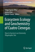 Jame Elser, James Elser, Felipe García-Oliva, Valeria Souza - Ecosystem Ecology and Geochemistry of Cuatro Cienegas